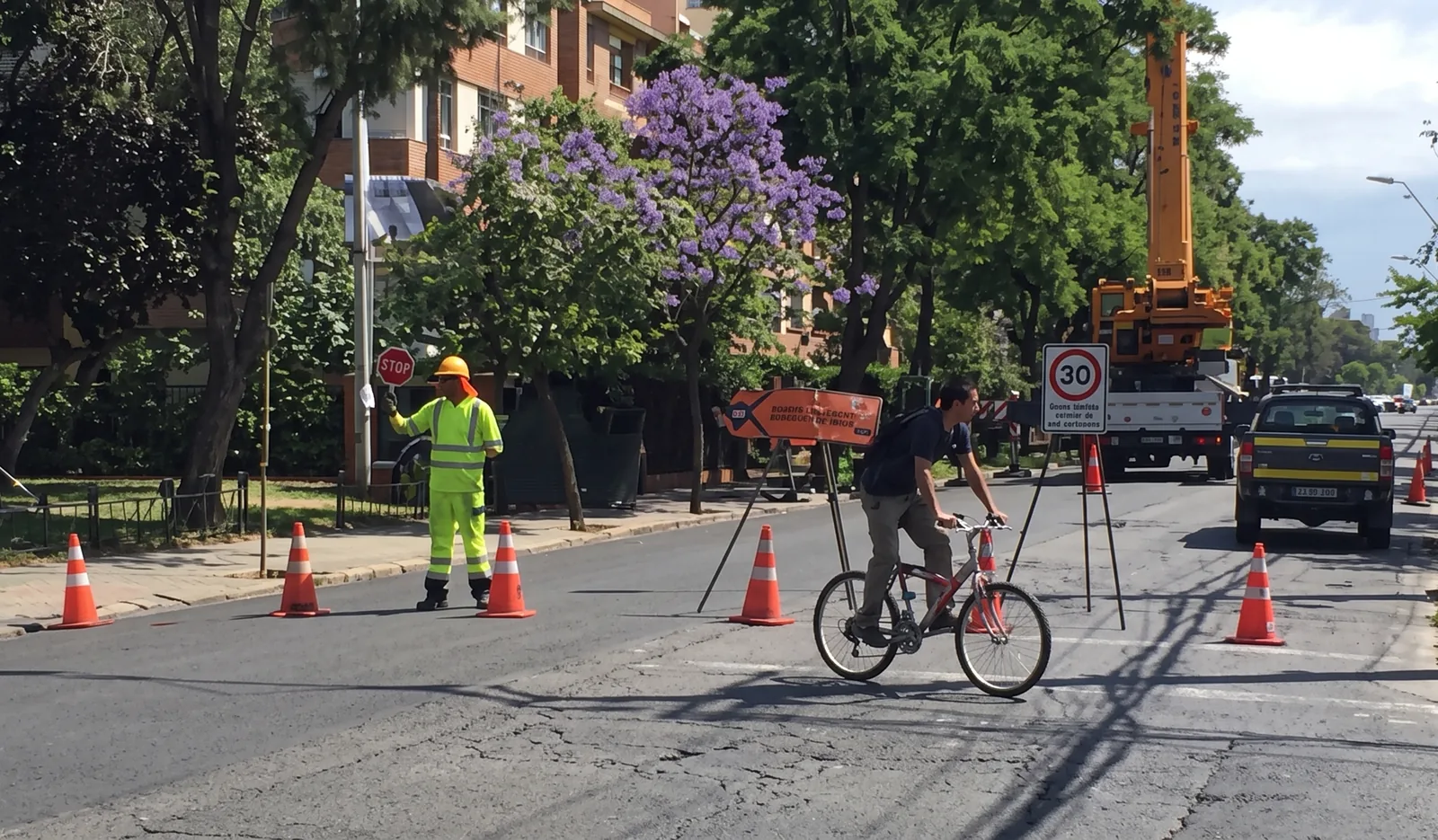 Banderero con ropa reflectante controlando el paso de un ciclista junto a conos en una calle urbana.